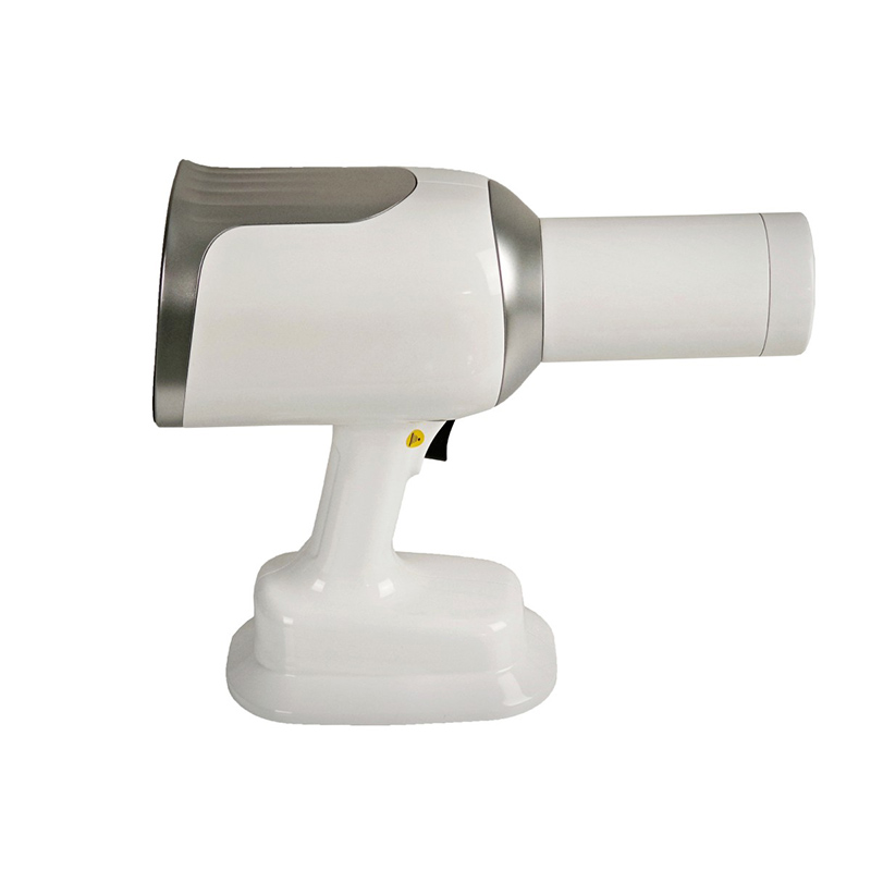 Veterinary Dentistry